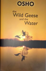 The Wild Geese and the Water