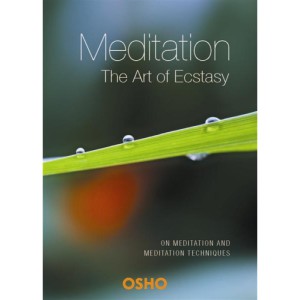 Meditation the Art of Ecstasy